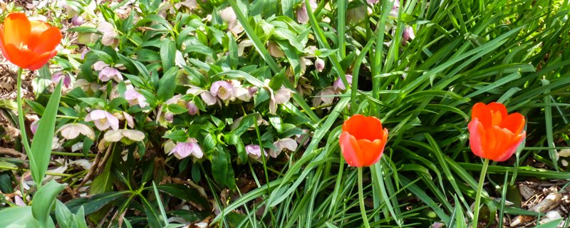 Events and things to do in Boston in April Events and things to do in Boston in April