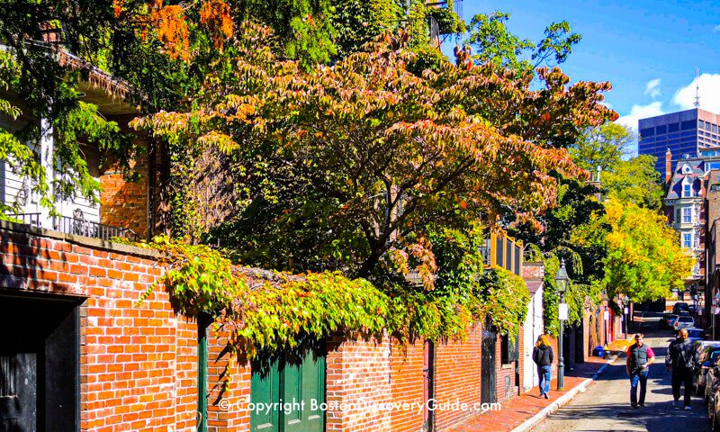 Fall foliage colors along a narrow lane in Boston's historic Beacon Hill Fall foliage colors along a narrow lane in Boston's historic Beacon Hill
