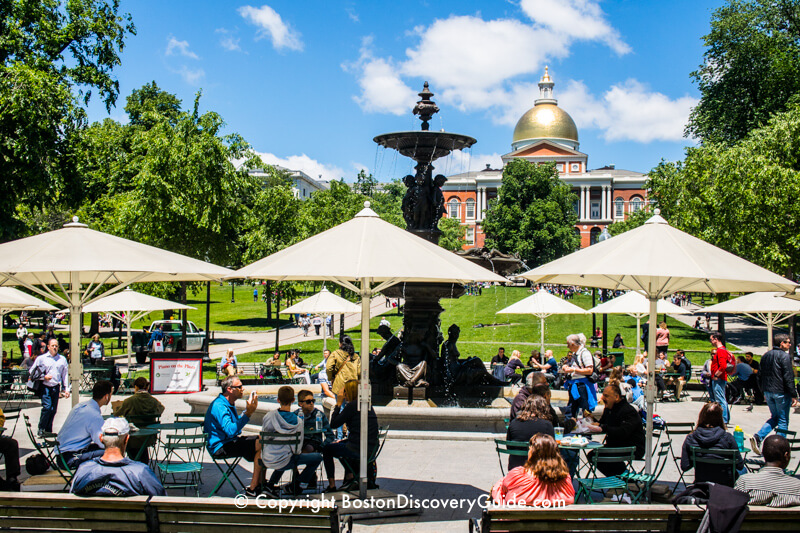Relaxing on Boston Common in June Relaxing on Boston Common in June
