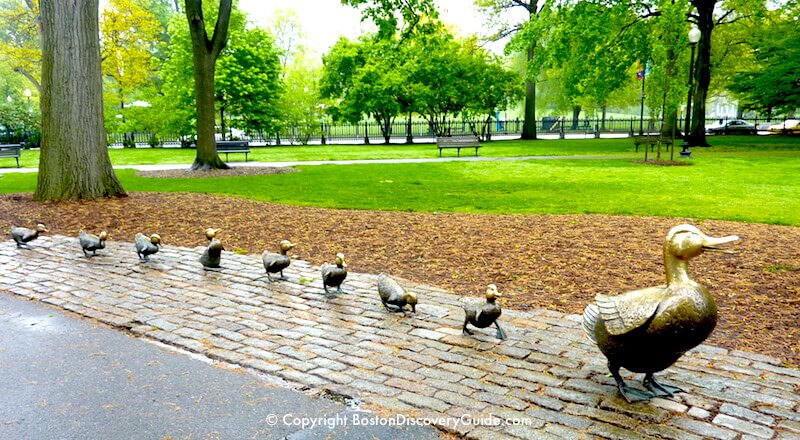 Make Way for Ducklings Statues in Boston's Public Garden Make Way for Ducklings Statues in Boston's Public Garden